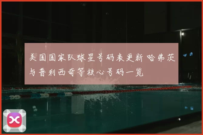 美国国家队球星号码表更新 哈弗茨与普利西奇等核心号码一览